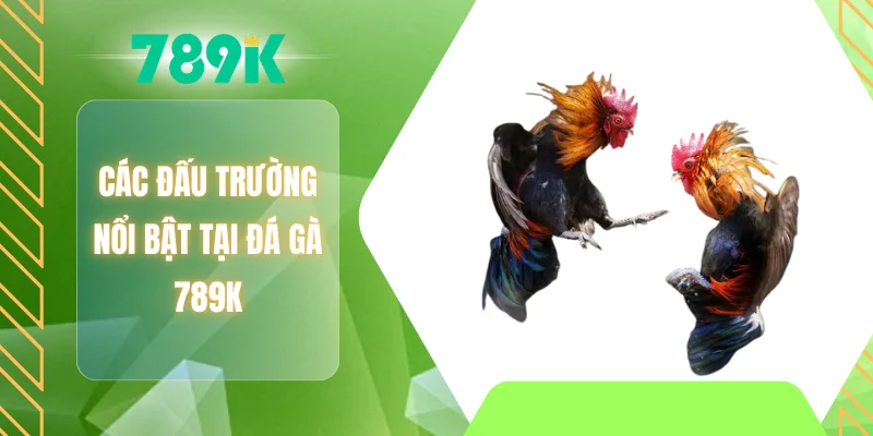 Các đấu trường nổi bật tại đá gà 789K