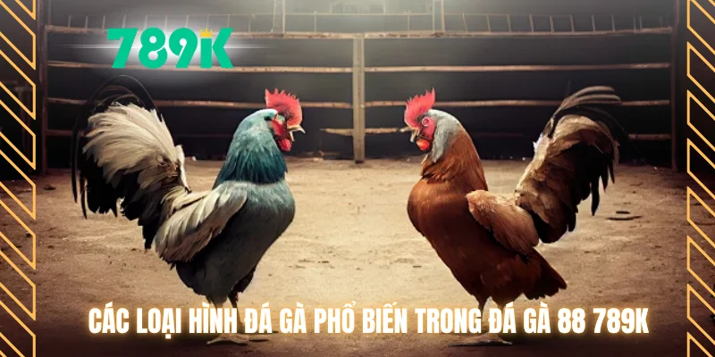 Các loại hình đá gà phổ biến trong đá gà 88 789K