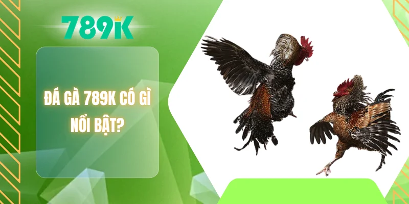 Đá gà 789K có gì nổi bật?
