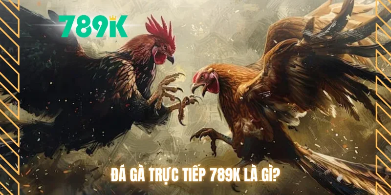 Đá gà trực tiếp 789K là gì?