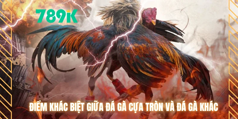 Điểm khác biệt giữa đá gà cựa tròn và đá gà khác