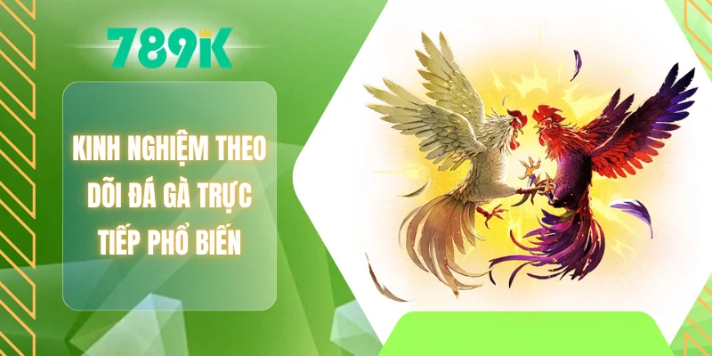 Kinh nghiệm theo dõi đá gà trực tiếp phổ biến