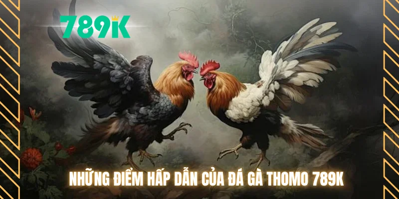 Những điểm hấp dẫn của đá gà Thomo 789K