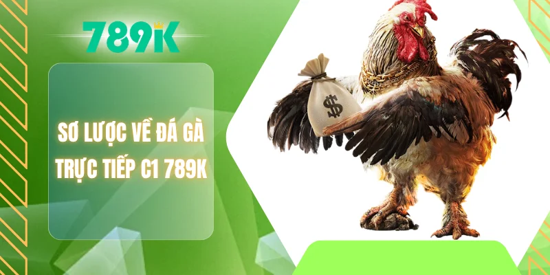 Sơ lược về đá gà trực tiếp C1 789K