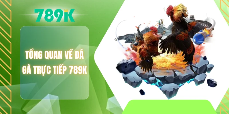 Tổng quan về đá gà trực tiếp 789K
